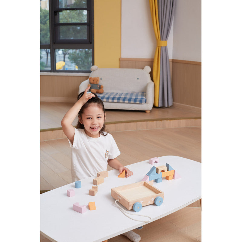 Carucior de tras cu cuburi, PolarB Viga